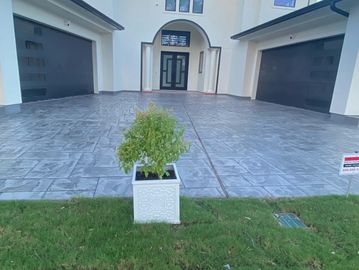 Front yard transformation