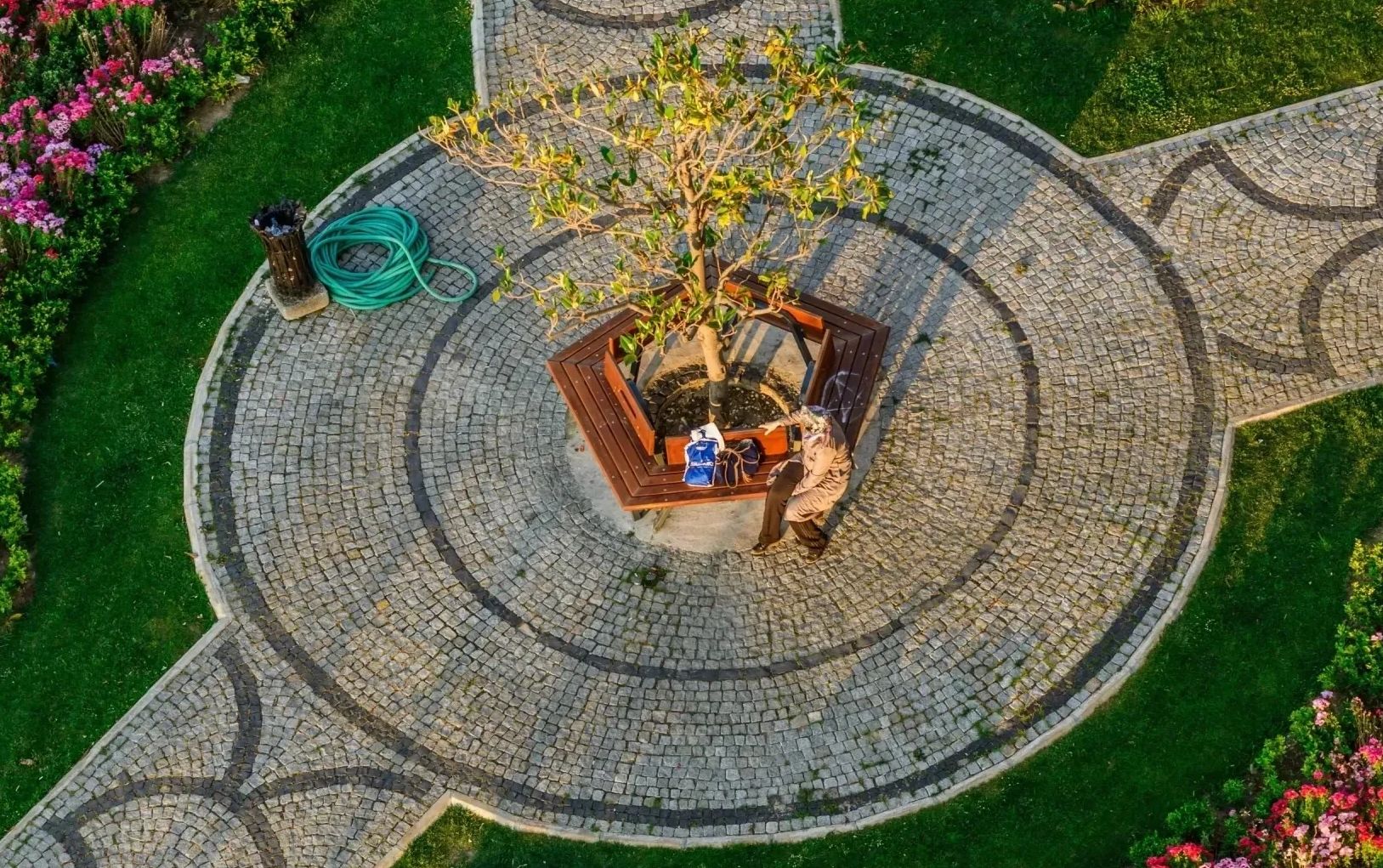 Person sitting on a bench around a tree in a circular stone-paved area.