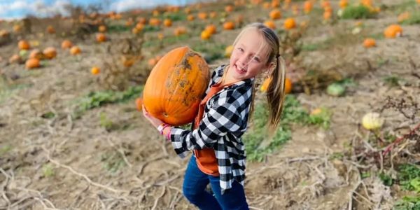 Girl holding large pumpkin in a pumpkin patch.