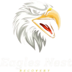 Eagle's Nest Recovery