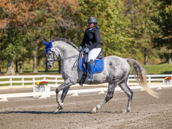 my horse and I competing at NJHP