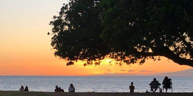 sunset photo in hawaii with indigenous tree and people sitting watching sunset