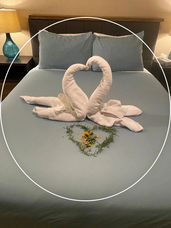 Image of swans kissing in shape of heart, made from towels on a bed 