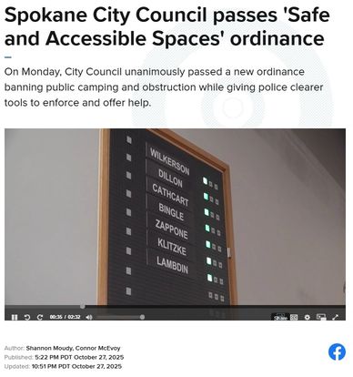 Screenshot of video of Council vote