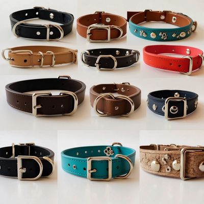 Assortment of dog collars