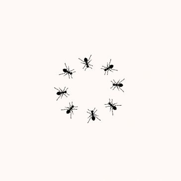 Eight black ants arranged in a circle on a white background.