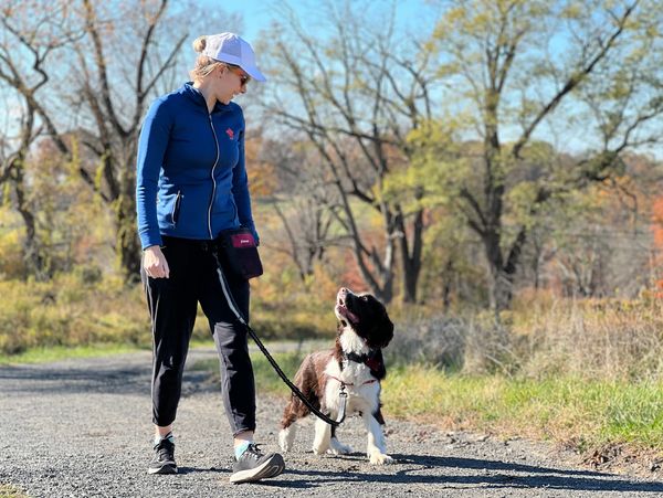 A woman walks a dog on a sunny autumn day in a park.