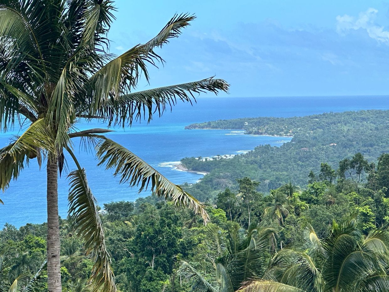 Lush green tropical forest meeting the blue ocean under a clear sky.