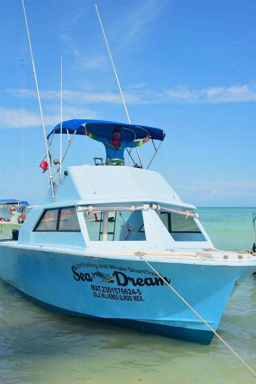 A bright blue tour boat named Sea Dream docked in shallow water with a person waving from the upper deck.