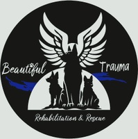 Beautiful Trauma Rehabilitation
