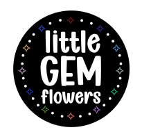 littlegemflowers.com