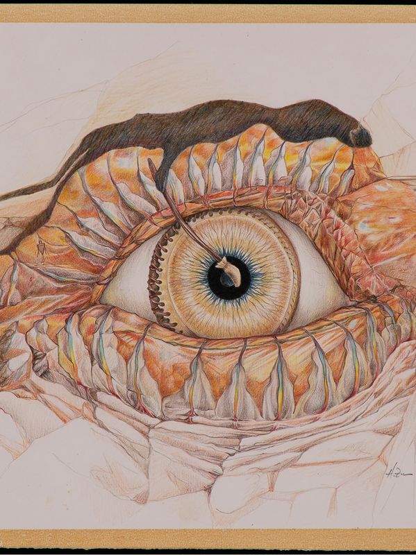 Eyeing stone and drum