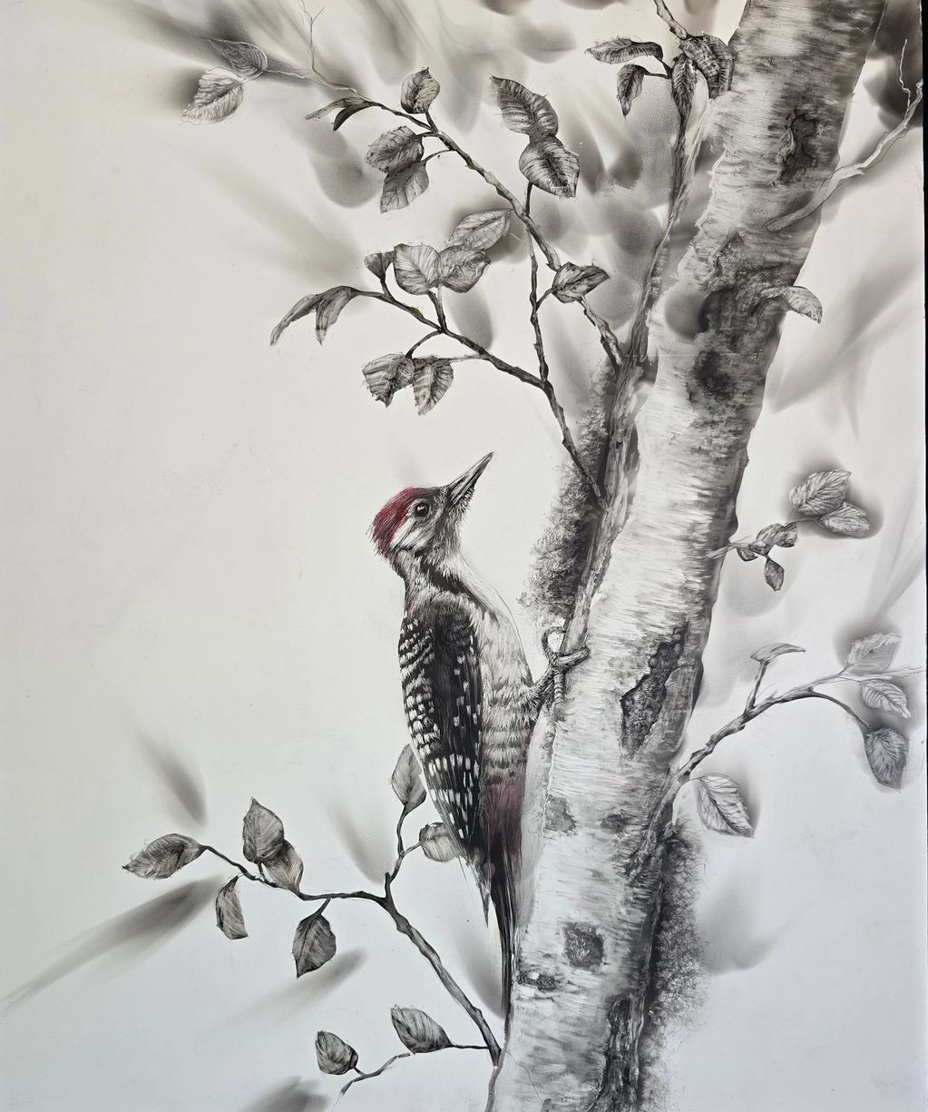 Smoke art drawing of a brown fronted  wood pecker, wildlife art