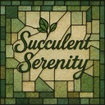 Succulent Serenity