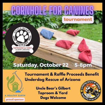 Charity cornhole tournament flyer
