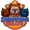 DreamTeam Bullyz