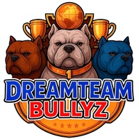 DreamTeam Bullyz