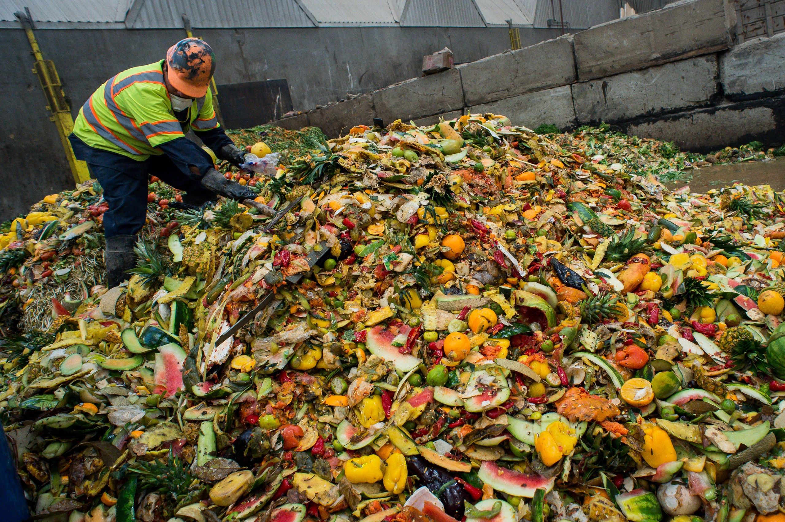 america-and-food-waste