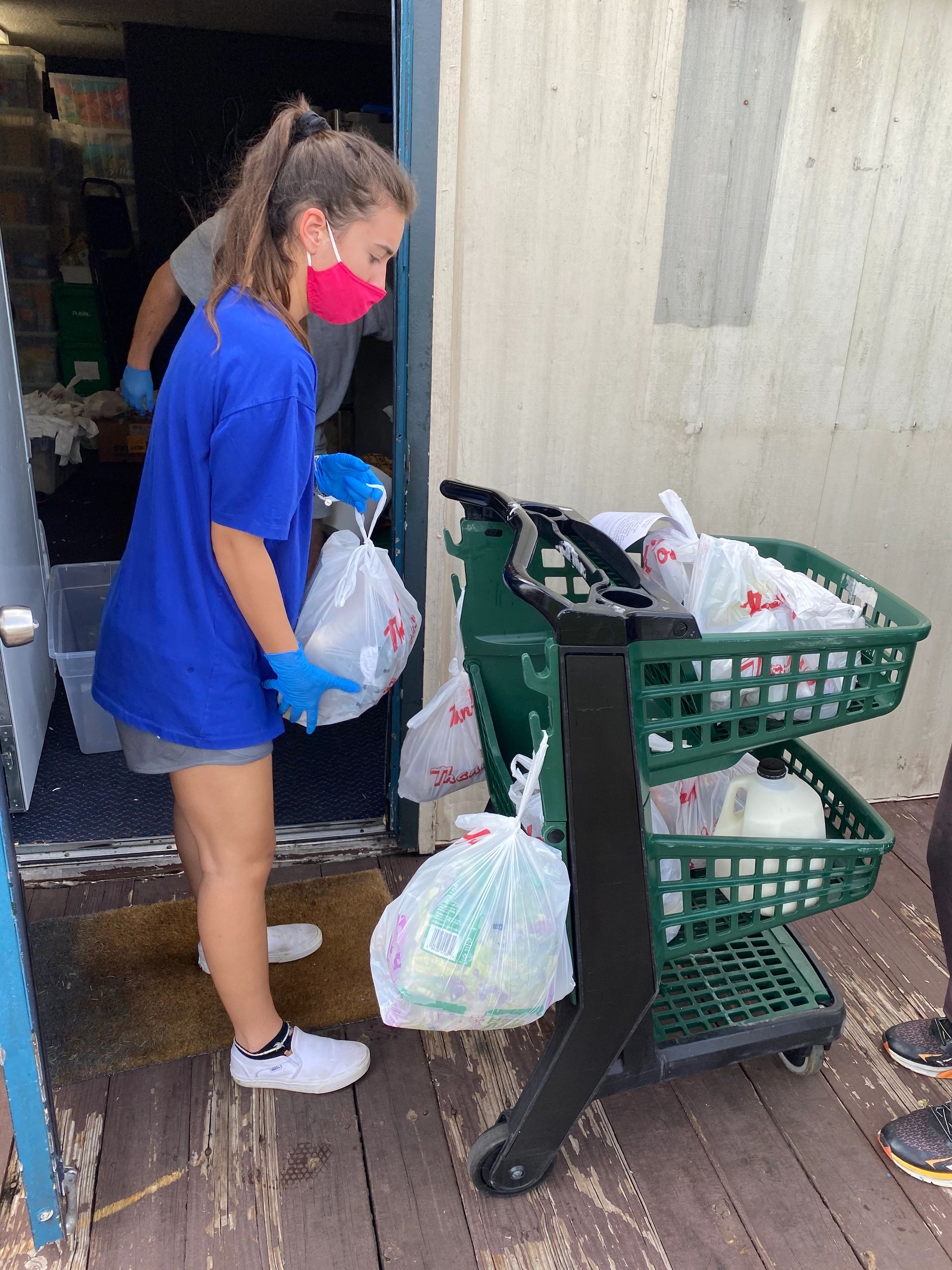 Understanding Food Insecurity