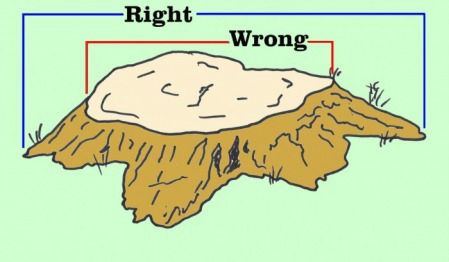 How to Measure a Stump