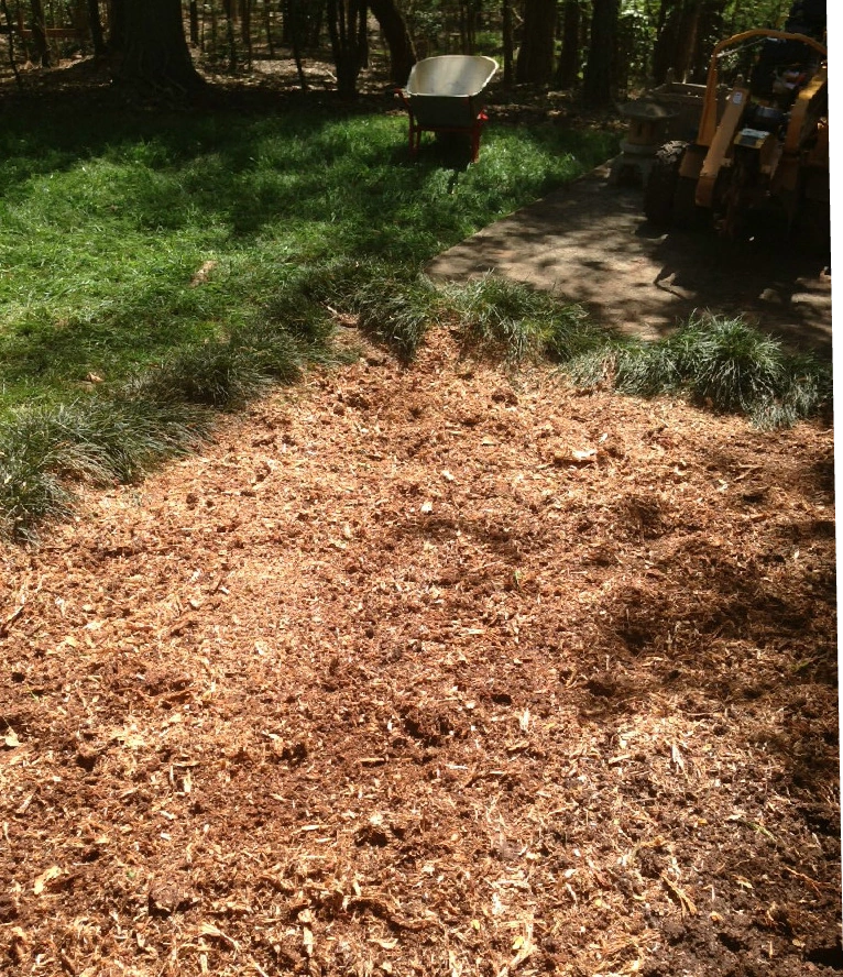 Stump Grinding Service Charlotte NC