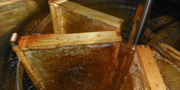 Raw Local Honey Extractor