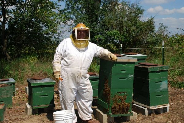 Proud Natural Honey Bee Hives