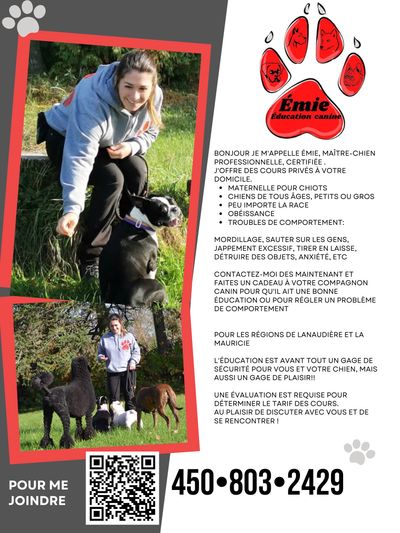 Éducation canine pour chien et chiots 
Maître-chien certifié 
Dresseur de chien
Éducateur canin 

