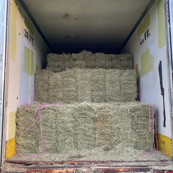 Bermuda square bales. Horse hay for sale