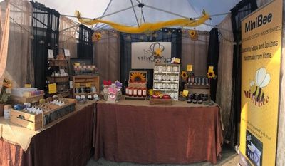                 MiniBee Festival Setup  