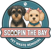 ScoopinTheBay.com