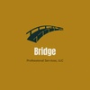 Bridge Professional Services, LLC