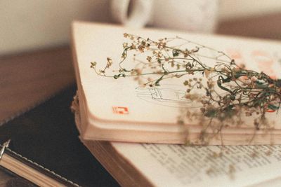 Delicate dried flowers resting on an open book with sketches.