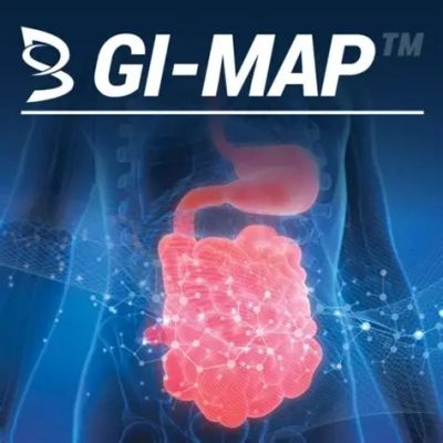 GI-MAP logo with highlighted gastrointestinal tract illustration.