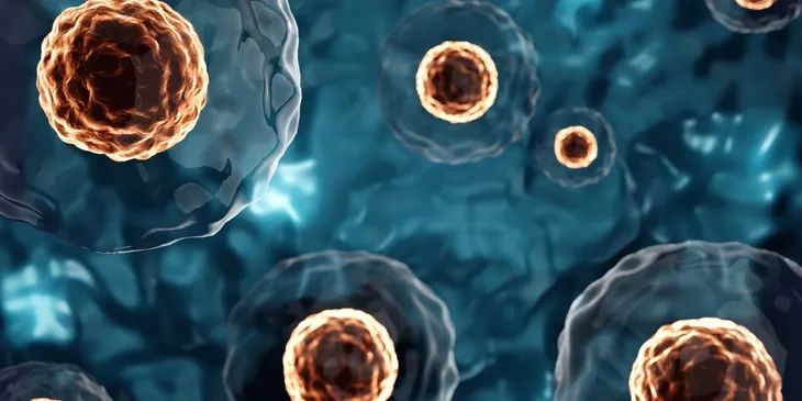 Close-up of human cells with visible nuclei in a blue background.