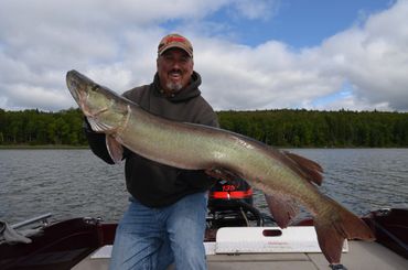 Trophy Muskie at Cedar Lake Lodge