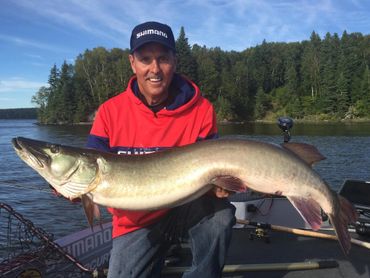 Jim Saric with Musky at Cedar Lake Lodge