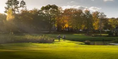 Golfers walking on a sunlit course.