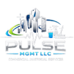 Pulse MGMT LLC
