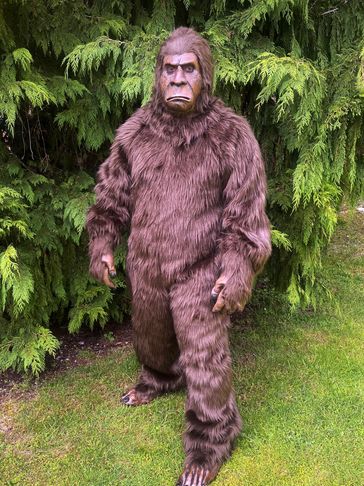 Budget Bigfoot Costume