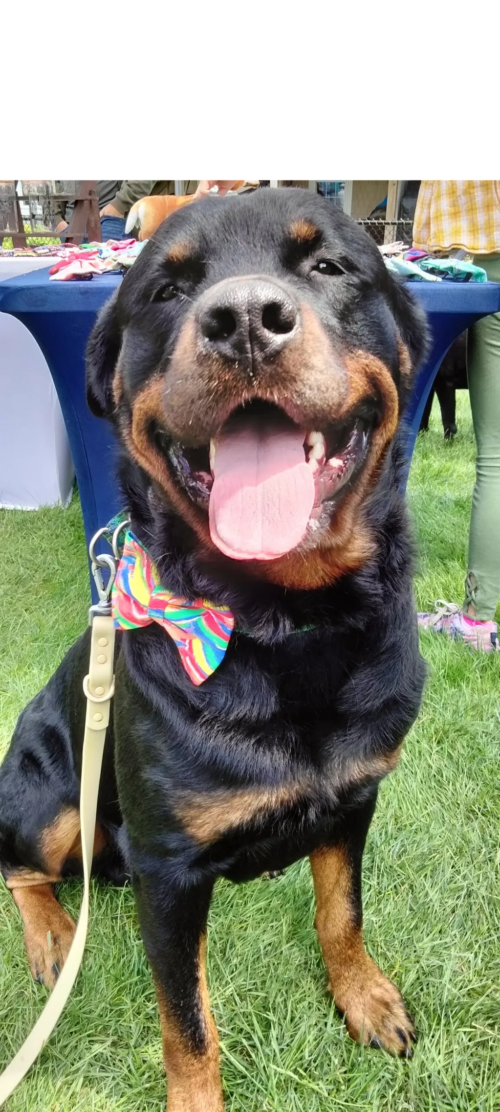 happy Bowser in a bow tie