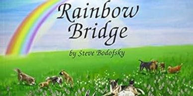 the rainbow bridge book cover 