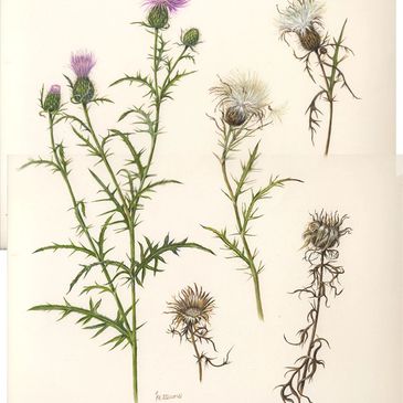 image49