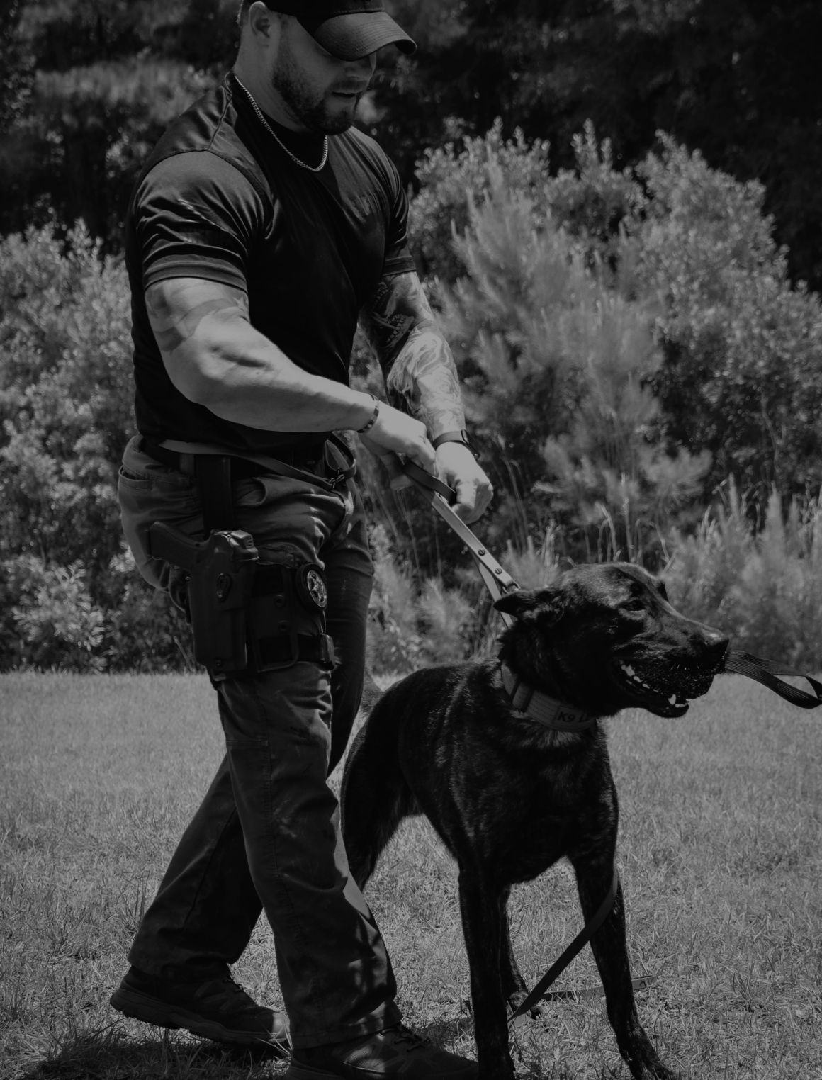 Strikeline tactical performance image