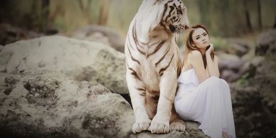 Bengal kittens for sale are not just pretty kitties. They truly are lap leopards.