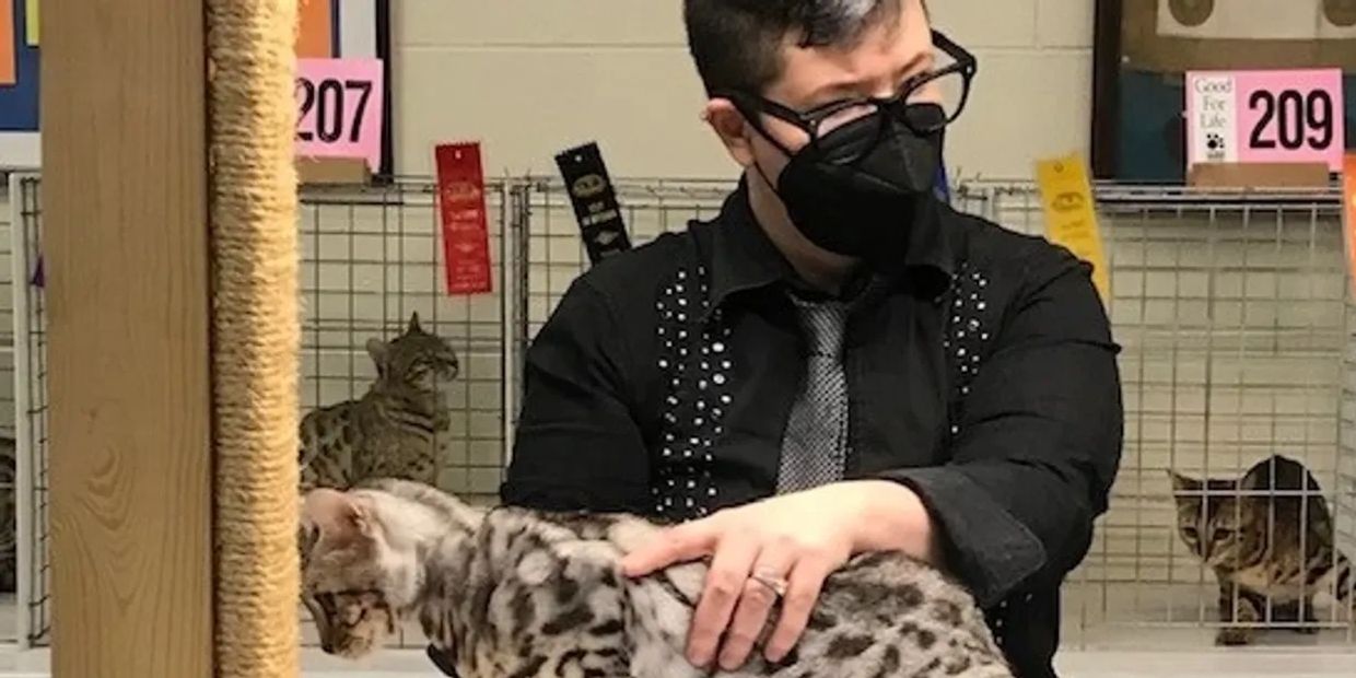 Exotic Bengals of Los Angeles has champions lines. We breed purebred, high quality Bengals for sale.