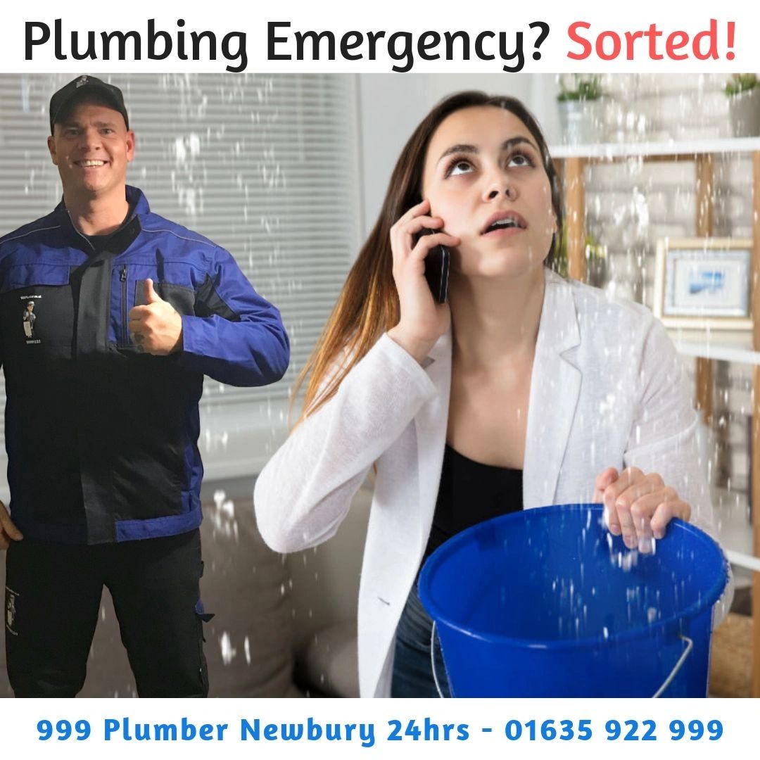 Emergency Plumber Providers in Hermitage 999Plumber.co.uk