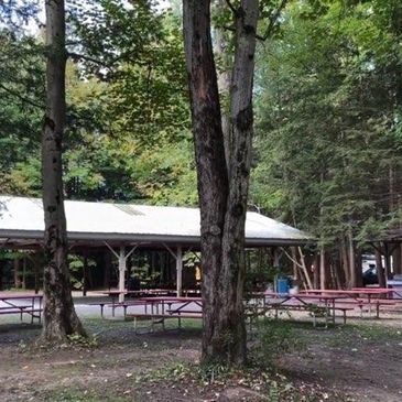 Pavillion through the woods