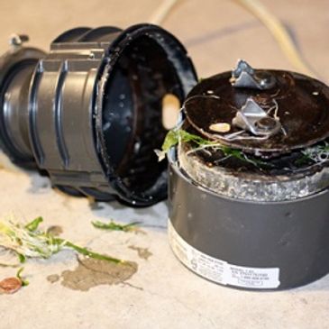Garbage disposal not working 