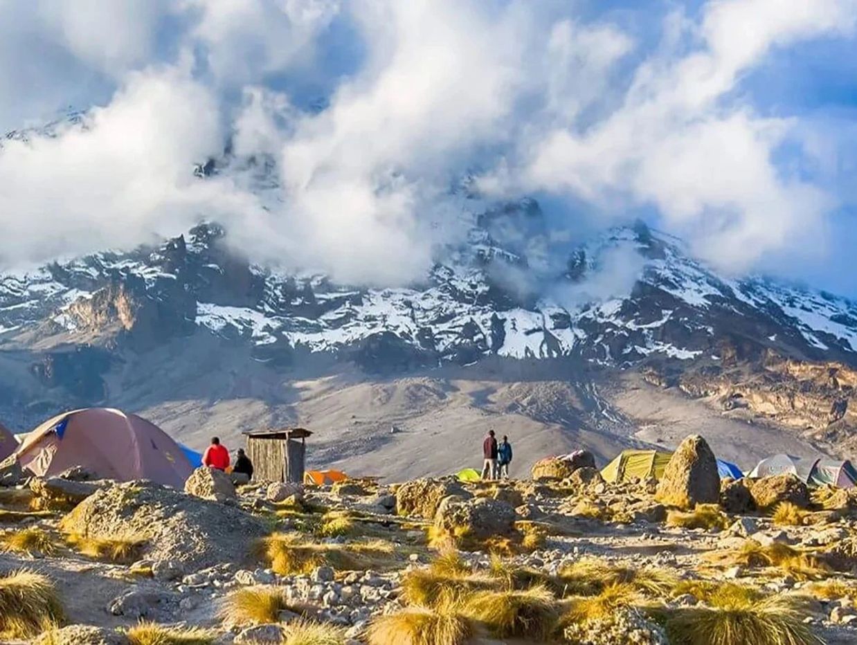 Kilimanjaro Tour Machame Route 7 Days From US$1650/Person